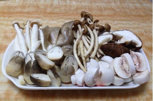 吃瓜独家爆料黑料蘑菇视频